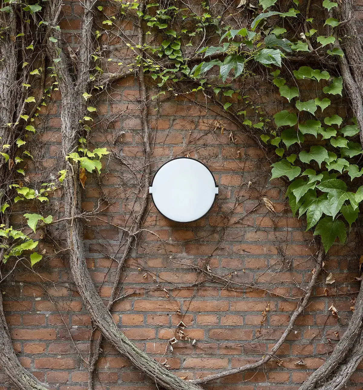 Rund væglampe udendørs OWEN L800U