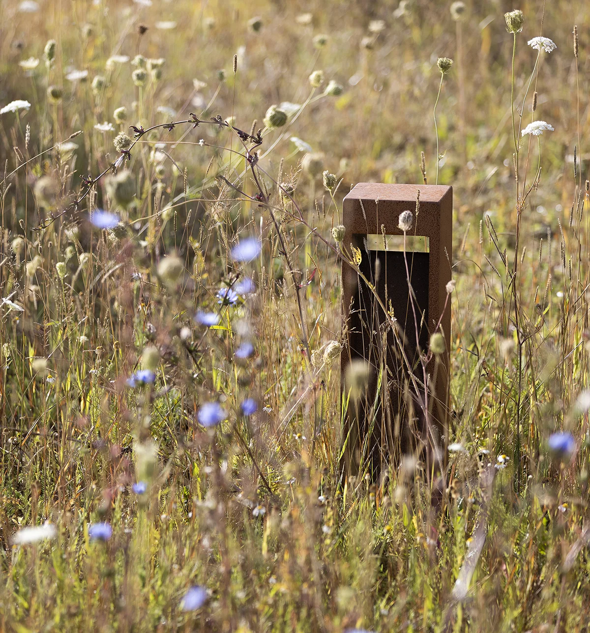 Biodiversitet lampe NYE L1002